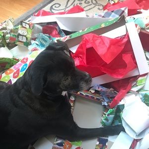 Meet your Posher, Maureen